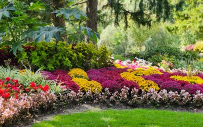 Discover the Beauty of Seasonal Garden Décor