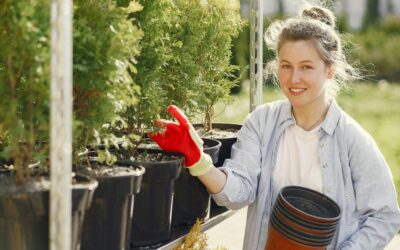 Transform Your Backyard with These Garden Accessories
