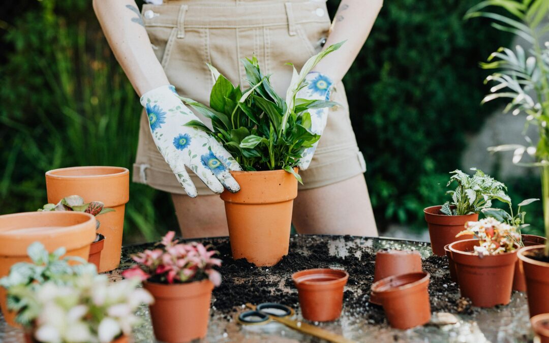 Seasonal Garden Décor for Year-Round Beauty