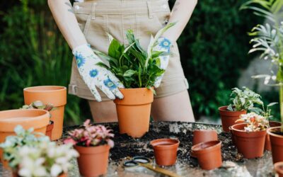 Seasonal Garden Décor for Year-Round Beauty