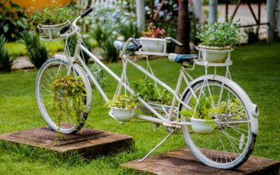Garden Décor Ideas to Elevate Your Outdoor Living Spaces